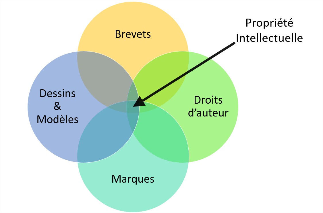 La Propriété Intellectuelle